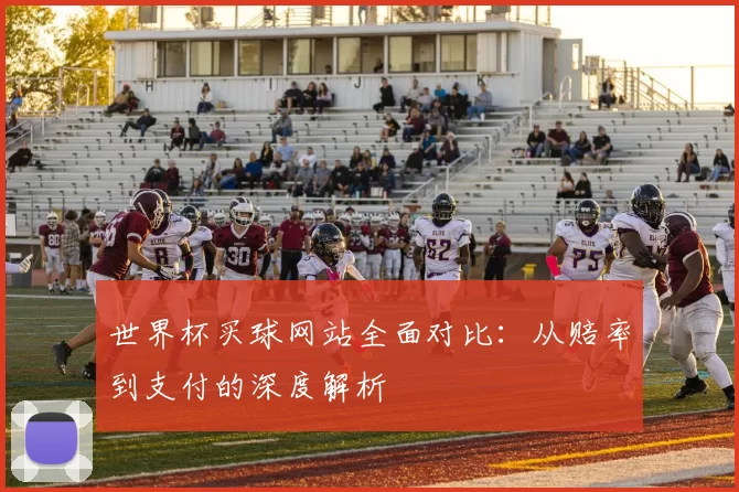 世界杯买球网站全面对比:从赔率到支付的深度解析