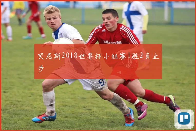 突尼斯2018世界杯小组赛1胜2负止步