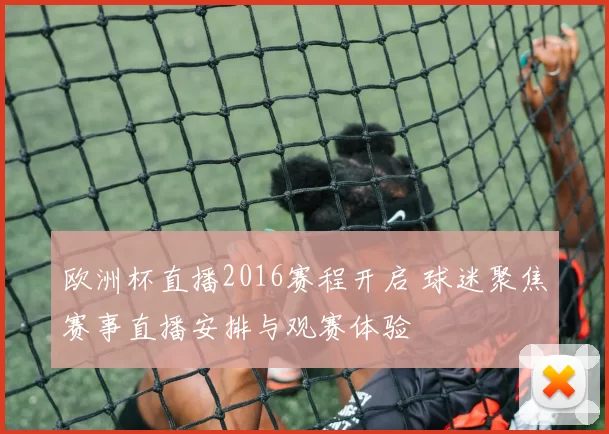 欧洲杯直播2016赛程开启 球迷聚焦赛事直播安排与观赛体验