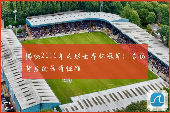 揭秘2016年足球世界杯冠军：专访背后的传奇征程