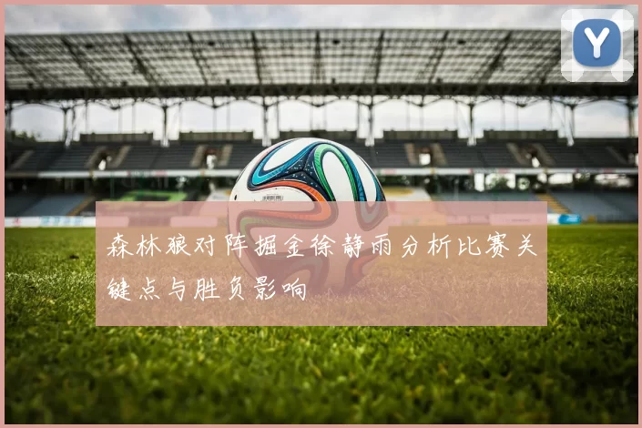 森林狼对阵掘金徐静雨分析比赛关键点与胜负影响