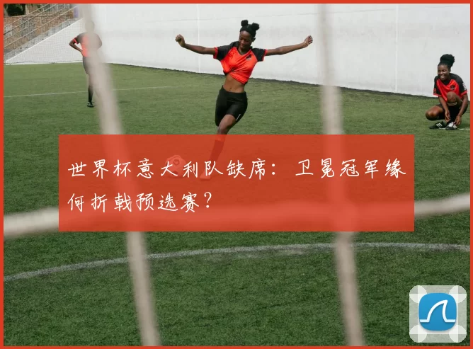 世界杯意大利队缺席:卫冕冠军缘何折戟预选赛?