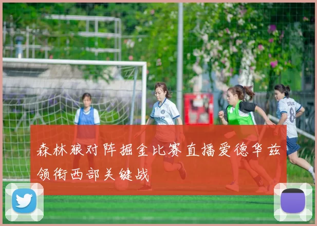 森林狼对阵掘金比赛直播爱德华兹领衔西部关键战