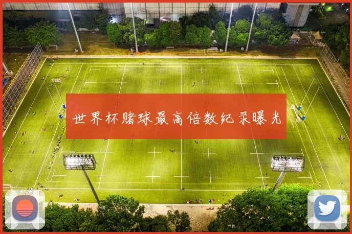 世界杯赌球最高倍数纪录曝光