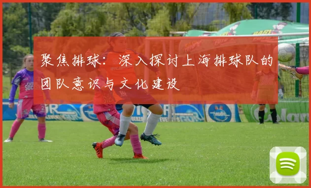 聚焦排球：深入探讨上海排球队的团队意识与文化建设
