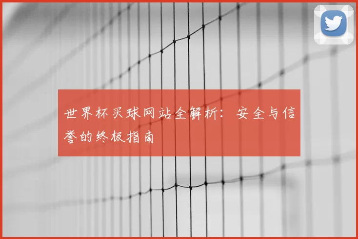 世界杯买球网站全解析:安全与信誉的终极指南