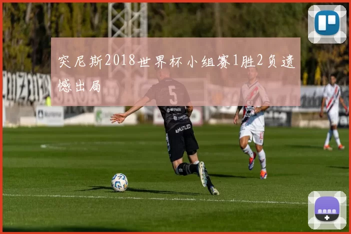 突尼斯2018世界杯小组赛1胜2负遗憾出局