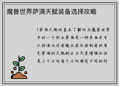 魔兽世界萨满天赋装备选择攻略